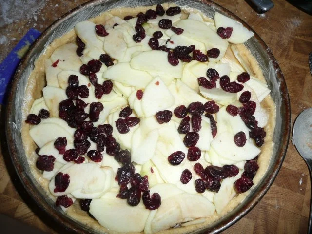 Rezept: Apfel - Bienenstich mit Cranberries 12-16 Stückchen Bild Nr. 6 Apfel - Bienenstich mit Cranberries 12-16 Stückchen - Rezept - Bild Nr. 6