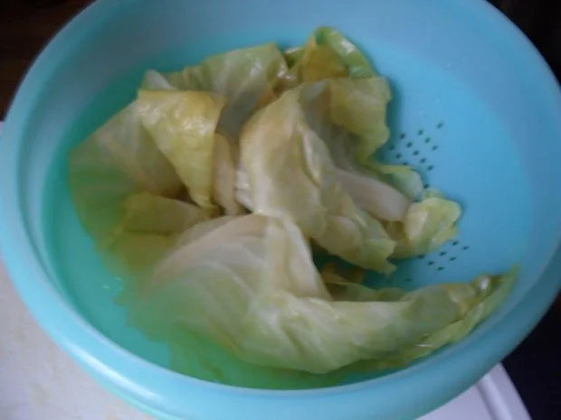 Sarma -Krautwickel aus Kroatien - erfordert etwas Zeit und Übung - Rezept