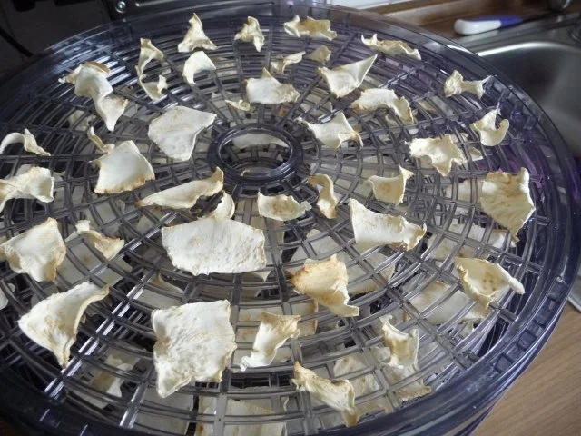 Rezept: Vorräte : ...trocknen - Sellerie und Petersilienwurzel Bild Nr. 5 Vorräte : ...trocknen - Sellerie und Petersilienwurzel - Rezept - Bild Nr. 5