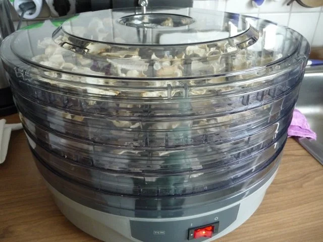 Rezept: Vorräte : ...trocknen - Sellerie und Petersilienwurzel Bild Nr. 7 Vorräte : ...trocknen - Sellerie und Petersilienwurzel - Rezept - Bild Nr. 7