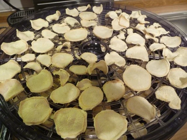 Rezept: Vorräte : ...trocknen - Sellerie und Petersilienwurzel Bild Nr. 12 Vorräte : ...trocknen - Sellerie und Petersilienwurzel - Rezept - Bild Nr. 12