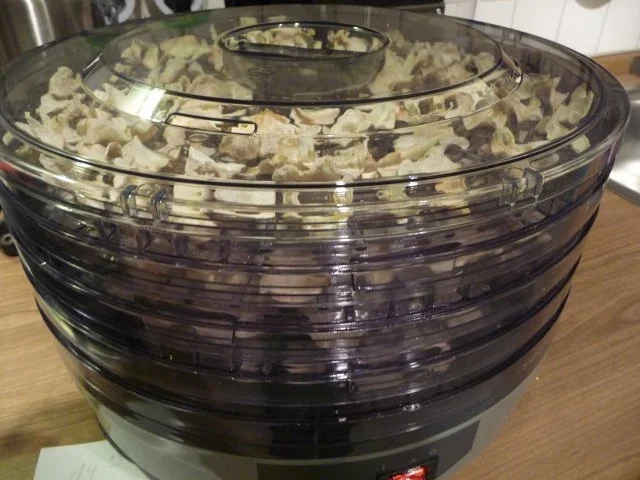 Rezept: Vorräte : ...trocknen - Sellerie und Petersilienwurzel Bild Nr. 13 Vorräte : ...trocknen - Sellerie und Petersilienwurzel - Rezept - Bild Nr. 13