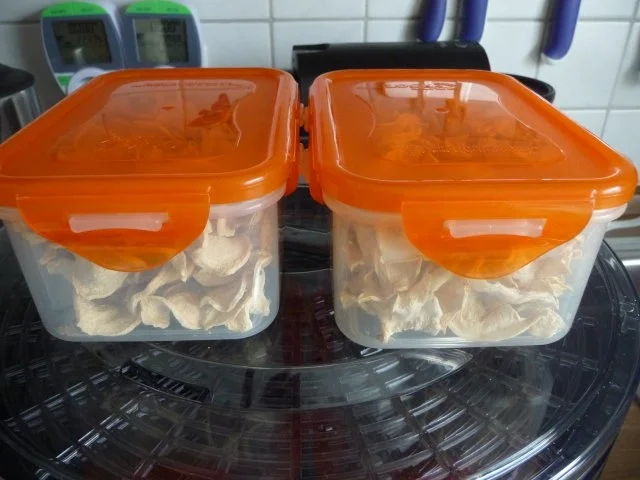 Rezept: Vorräte : ...trocknen - Sellerie und Petersilienwurzel Bild Nr. 16 Vorräte : ...trocknen - Sellerie und Petersilienwurzel - Rezept - Bild Nr. 16