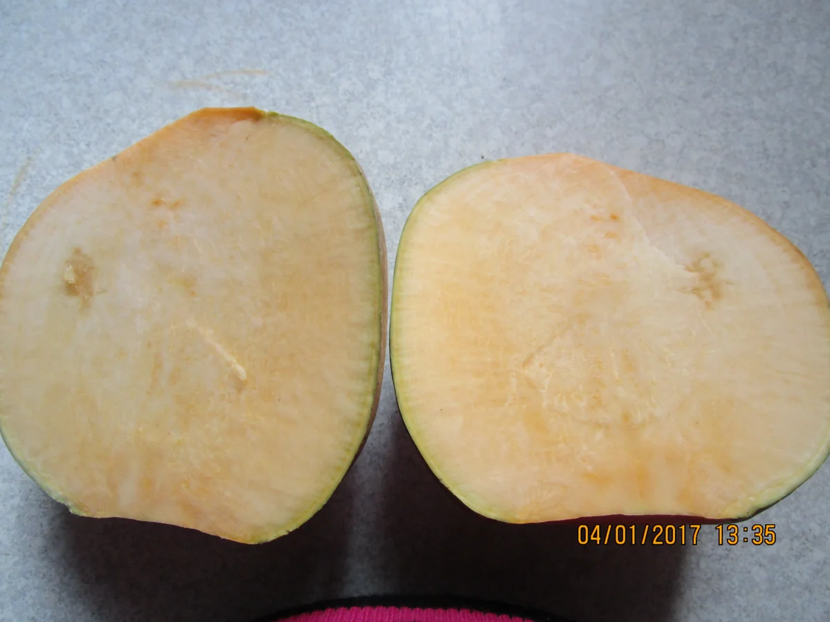 Rezept: Kohlrüben- bzw. Wruggeneintopf mit Gänseklein Bild Nr. 1528 Kohlrüben- bzw. Wruggeneintopf mit Gänseklein - Rezept - Bild Nr. 1528