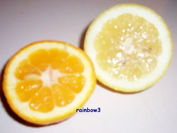 Einmachen: Englische Bitterorangenmarmelade - Rezept