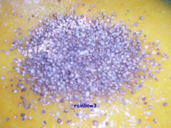 Einmachen: Englische Bitterorangenmarmelade - Rezept - Bild Nr. 10