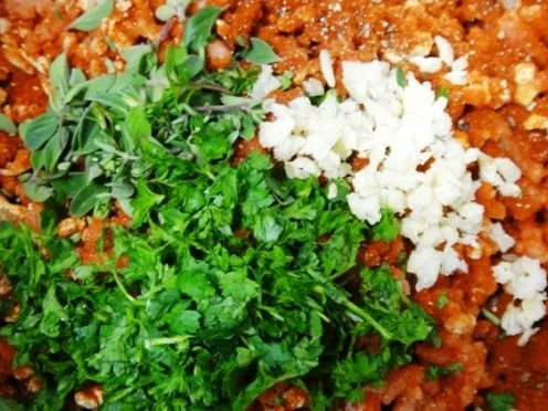 Polpette-Mozzarella al Gusto-taliano - Rezept - Bild Nr. 4