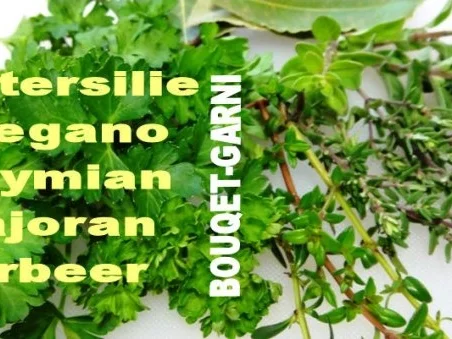 Polpette-Mozzarella al Gusto-taliano - Rezept - Bild Nr. 2