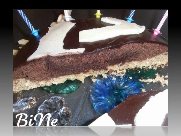 Rezept: BiNe` S SCHOKO - KOKOSKUCHEN Bild Nr. 12 BiNe` S SCHOKO - KOKOSKUCHEN - Rezept - Bild Nr. 12