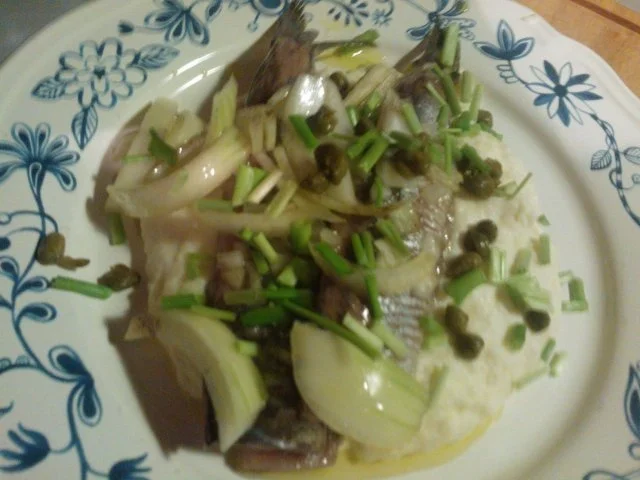 Matjes echt hollaendisch - Rezept