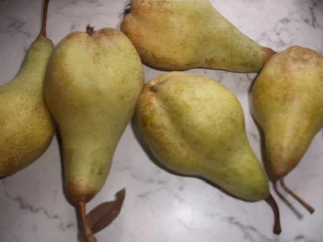 Schoko-Birnen-Torte - Rezept - Bild Nr. 2