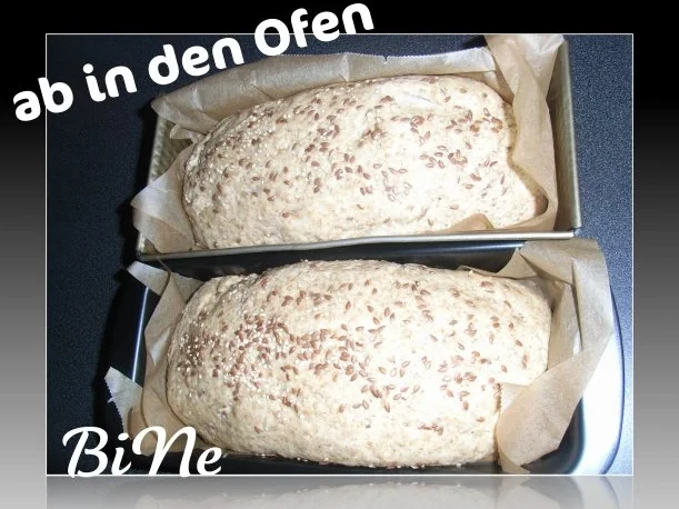 Rezept: BiNe` S VOLLKORNBROT Bild Nr. 5 BiNe` S VOLLKORNBROT - Rezept - Bild Nr. 5