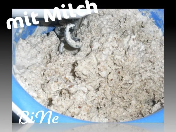 Rezept: BiNe` S VOLLKORNBROT Bild Nr. 4 BiNe` S VOLLKORNBROT - Rezept - Bild Nr. 4