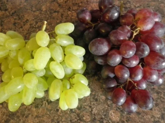 Rezept: Traubentarte ... Bild Nr. 5 Traubentarte ... - Rezept - Bild Nr. 5