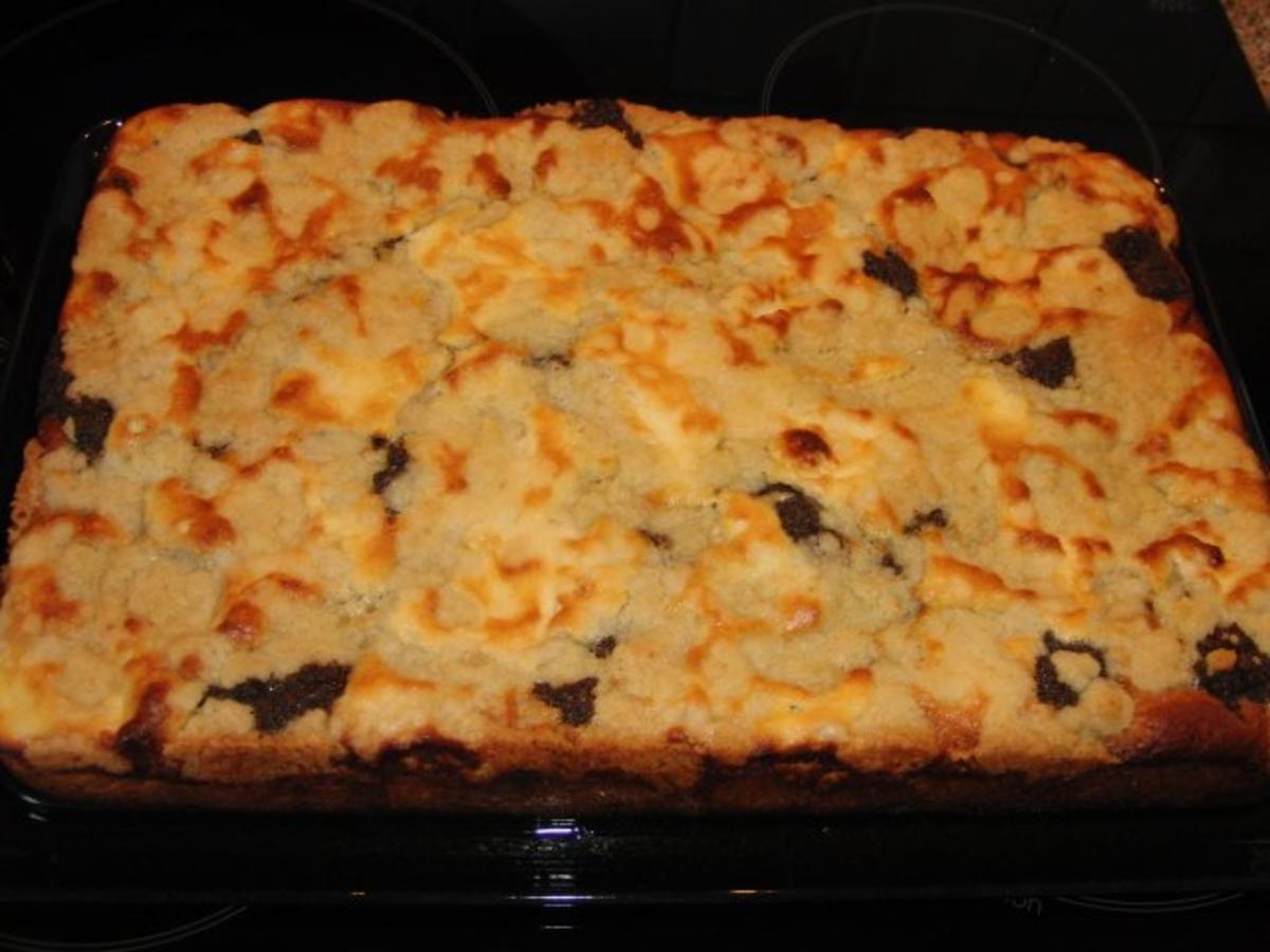 Mohn Hefe Quarkkuchen Kleckselkuchen - einfach - 312 kcal/100g