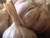 Knoblauchsuppe - Vampirsuppe - Rezept