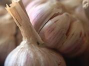 Knoblauchsuppe - Vampirsuppe - Rezept