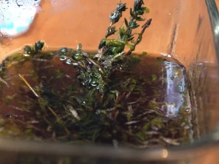 Limetten-Thymian-Parfait mit Rum-Tonka-Kirschen - Rezept - Bild Nr. 2