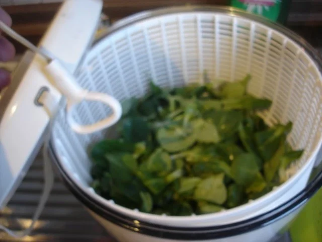 Feldsalat - Rezept - Bild Nr. 6