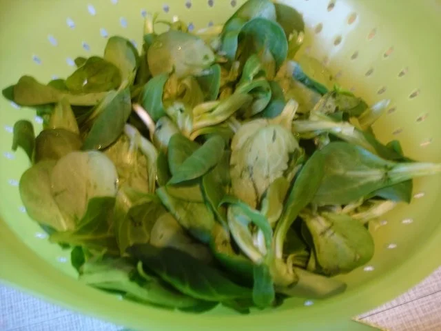 Feldsalat - Rezept - Bild Nr. 5