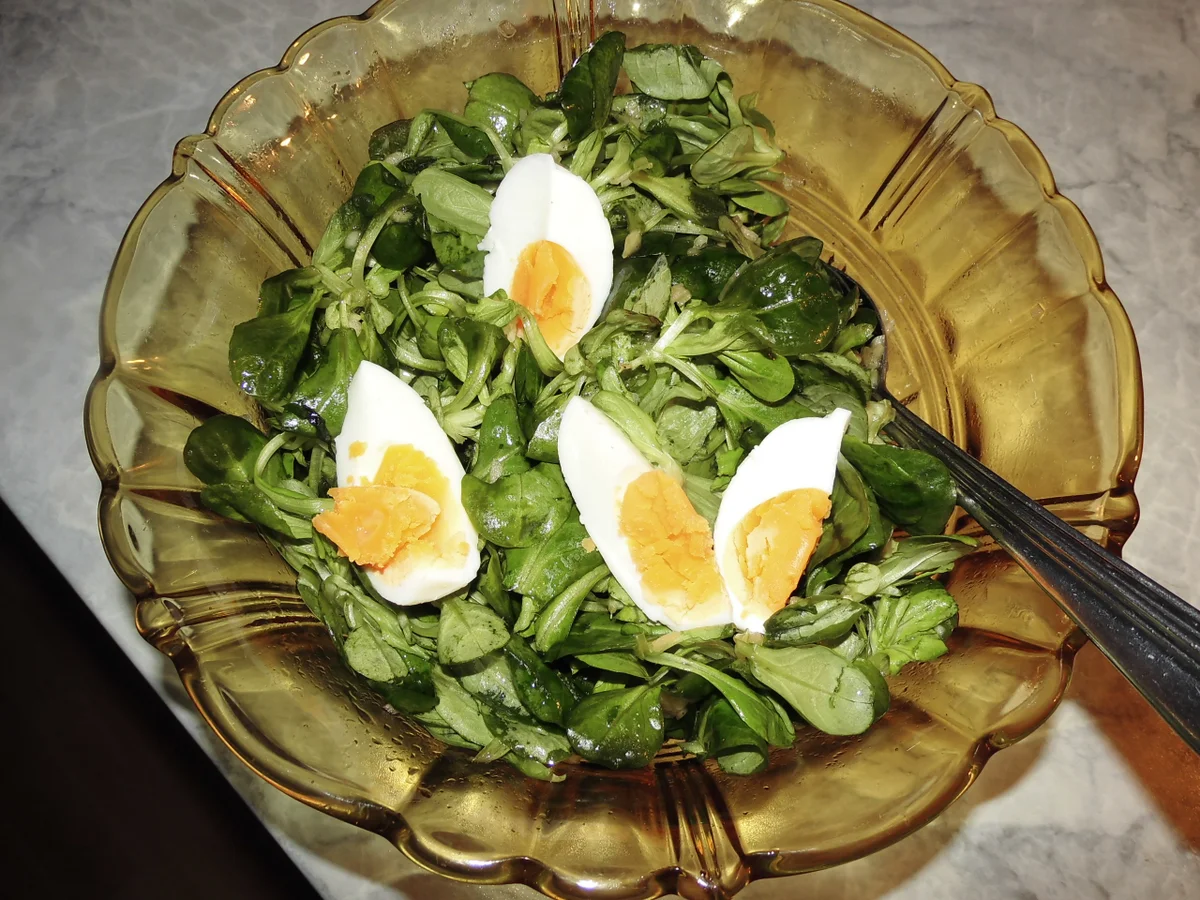 Feldsalat - Rezept - Bild Nr. 13