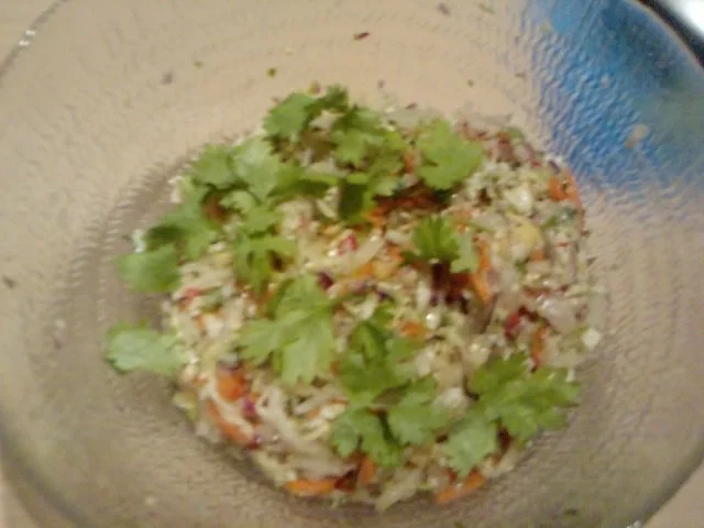 Explosion der Sinne Der etwas andere Krautsalat - Rezept - Bild Nr. 10