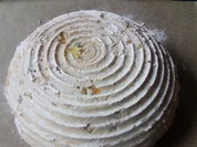 Aprikosen-Walnuss-Korbbrot - Rezept