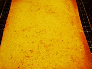 Rezept: Katze Minka Bild Nr. 4 Katze Minka - Rezept - Bild Nr. 4