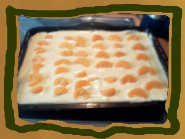 Rezept: Mamorkuchen vom Blech Bild Nr. 6 Mamorkuchen vom Blech - Rezept - Bild Nr. 6