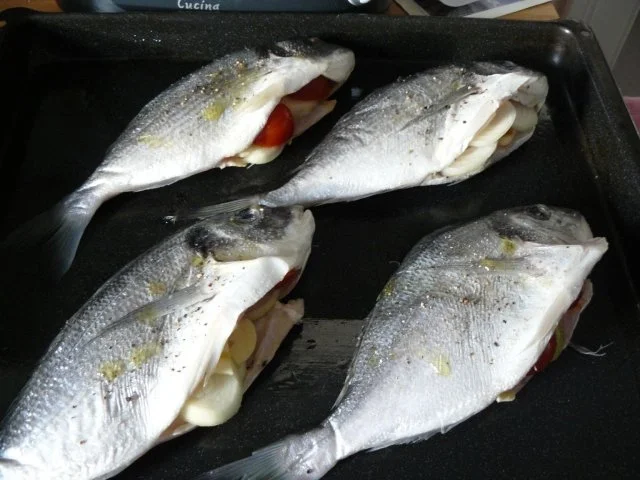 Dorade Bella Italia - Rezept - Bild Nr. 5