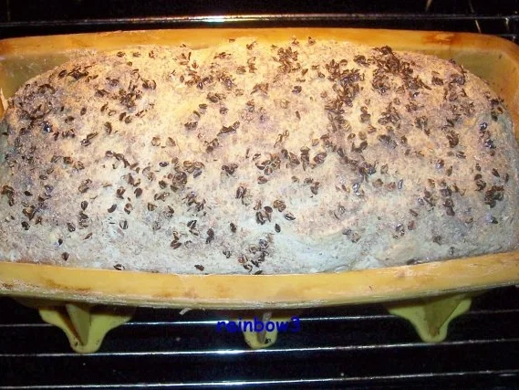 Rezept: Backen: Kasten-Weißbrot Bild Nr. 4 Backen: Kasten-Weißbrot - Rezept - Bild Nr. 4