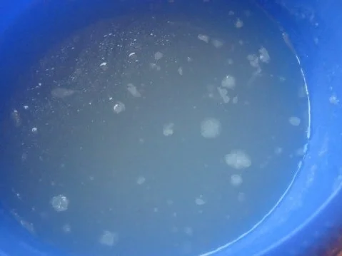 Gesundwerdpampe für Jesper - Rezept - Bild Nr. 3