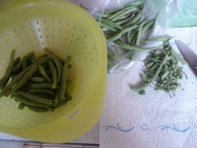 Rezept: Grüne Bohnen mit Speck Bild Nr. 2 Grüne Bohnen mit Speck - Rezept - Bild Nr. 2