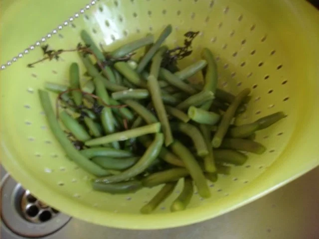 Rezept: Grüne Bohnen mit Speck Bild Nr. 6 Grüne Bohnen mit Speck - Rezept - Bild Nr. 6