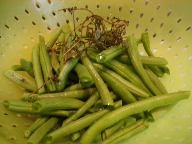 Rezept: Grüne Bohnen mit Speck Bild Nr. 4 Grüne Bohnen mit Speck - Rezept - Bild Nr. 4