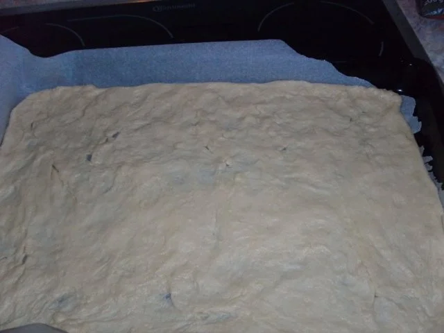 Pizza mit Quark-Öl-Teig - Rezept - Bild Nr. 11