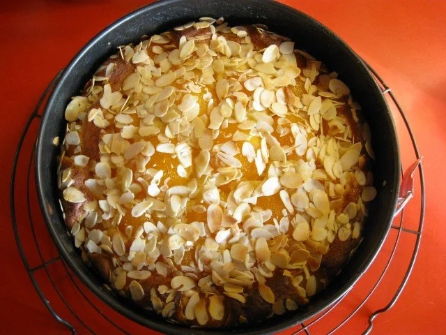 Aprikosen Kuchen - Rezept - Bild Nr. 5