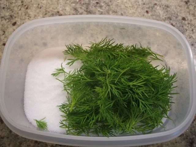 Fisch: Graved Lachs - Rezept - Bild Nr. 3