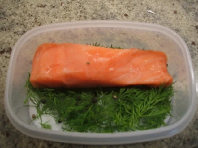Fisch: Graved Lachs - Rezept - Bild Nr. 4