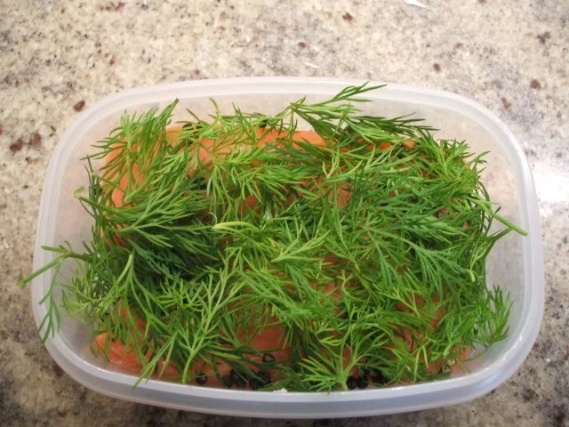 Fisch: Graved Lachs - Rezept - Bild Nr. 6