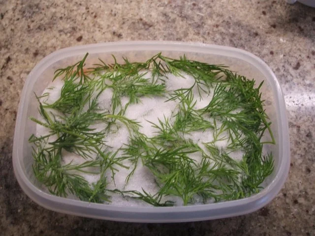 Fisch: Graved Lachs - Rezept - Bild Nr. 7