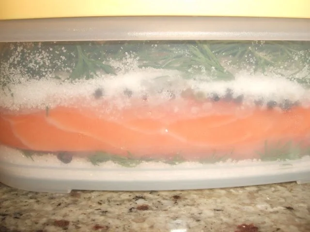 Fisch: Graved Lachs - Rezept - Bild Nr. 8