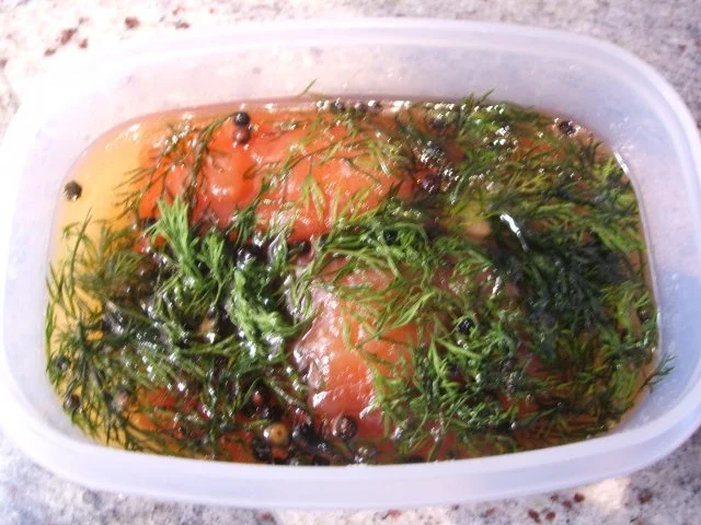 Fisch: Graved Lachs - Rezept - Bild Nr. 9