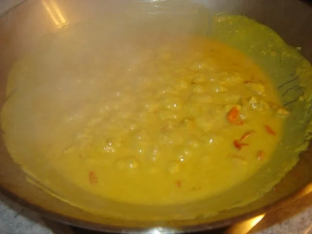 Chicken Curry - Rezept - Bild Nr. 8