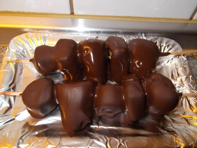 Rezept: Andy`s Schoko-Fruchtspieß Bild Nr. 5 Andy`s Schoko-Fruchtspieß - Rezept - Bild Nr. 5