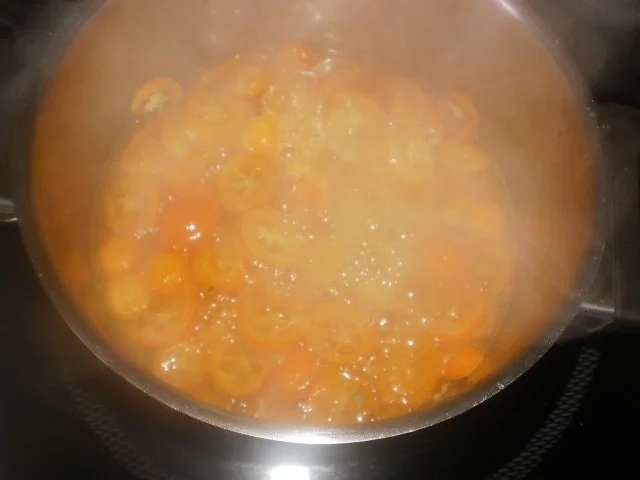 Stracciatella-Creme mit Kumquats - Rezept - Bild Nr. 10