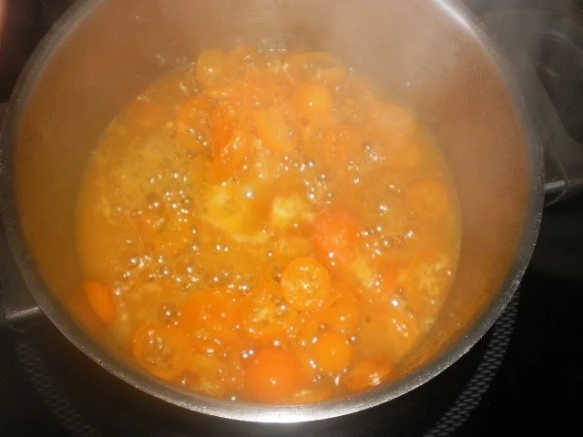 Stracciatella-Creme mit Kumquats - Rezept - Bild Nr. 11