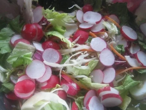 Radieschen und mehr, mit wildem Dressing - Rezept