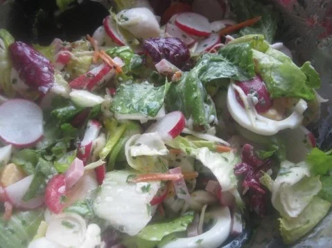 Radieschen und mehr, mit wildem Dressing - Rezept - Bild Nr. 5