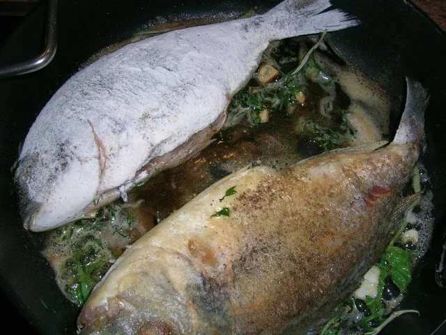 Dorade, gebraten, mit Meerrettichstampf und Schmortomaten - Rezept - Bild Nr. 4